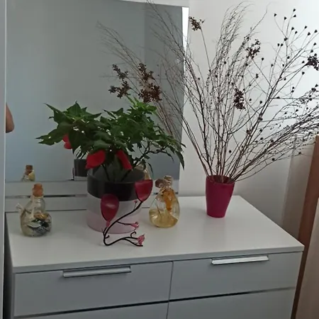 Mony-building Stefan, Mamaia Nord Apartment Navodari