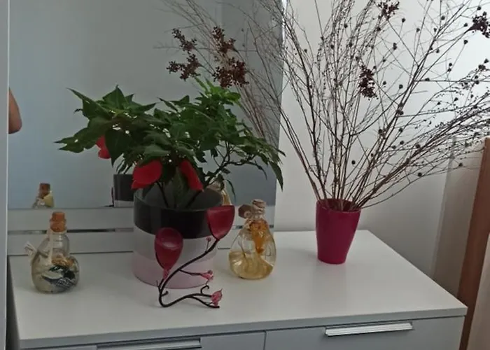 Mony-building Stefan, Mamaia Nord Apartment Navodari